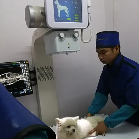 Equipo de Rayos X de Uso Veterinario, SHO-MAX